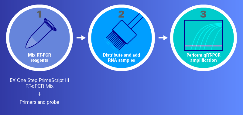 X One Step Primescript Iii Rt Qpcr Kit